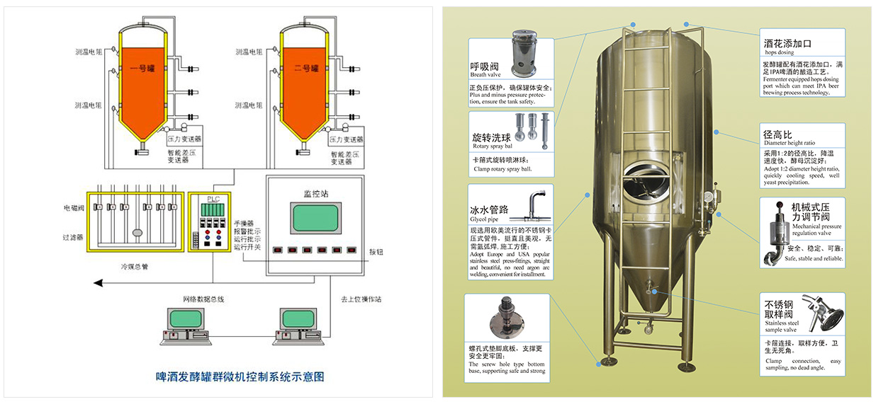 啤酒发酵